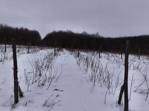 участок по адресу Лесі Українки, 1