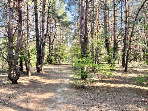 ділянка за адресою Київ, 