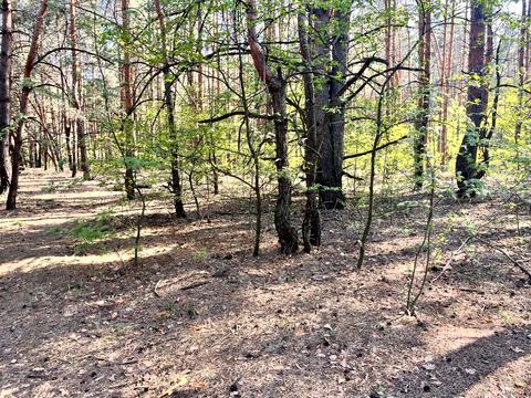 ділянка за адресою Київ, 