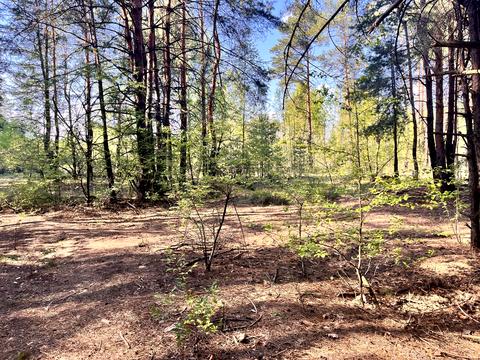 ділянка за адресою Київ, 