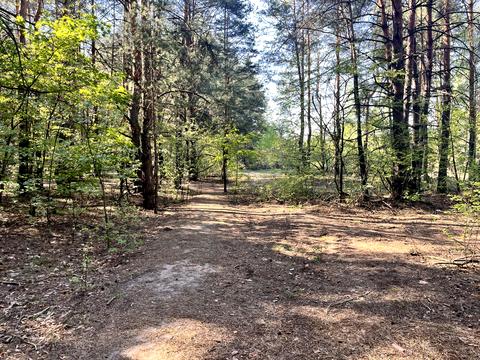 ділянка за адресою Київ, 