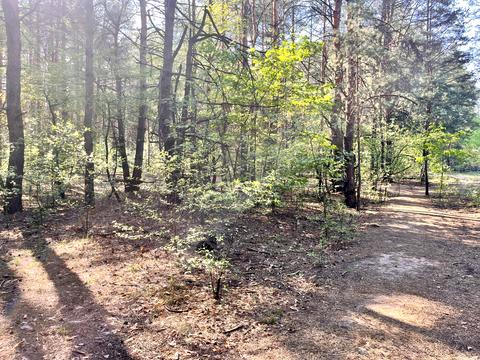 ділянка за адресою Київ, 