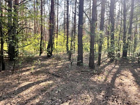 ділянка за адресою Київ, 