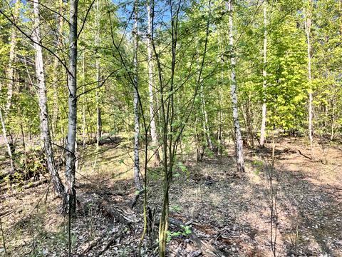 ділянка за адресою 