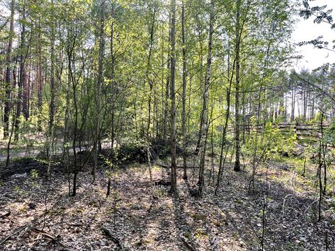 ділянка за адресою 