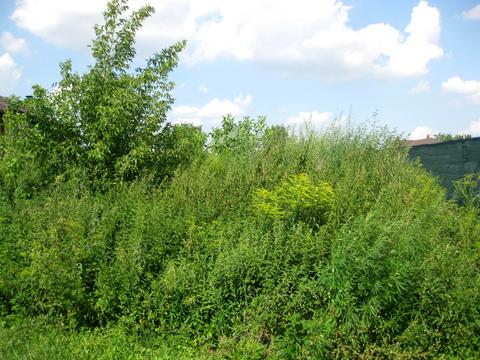 участок по адресу 