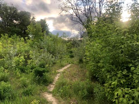 участок по адресу 