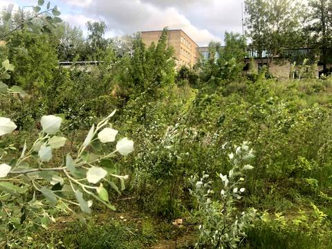 участок по адресу 