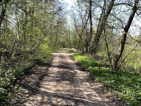 ділянка за адресою 