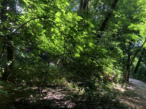 участок по адресу 