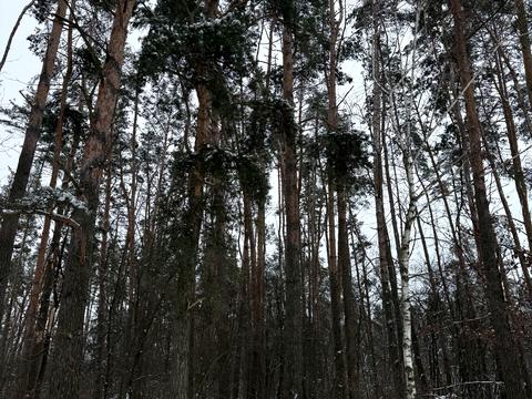 будинок за адресою Петровського