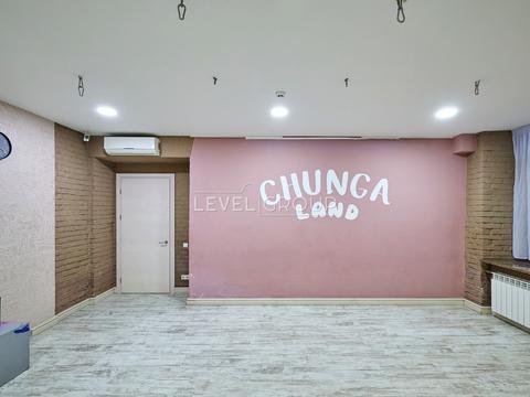 комерційна за адресою Київ, Шота Руставелі вул., 30-Б