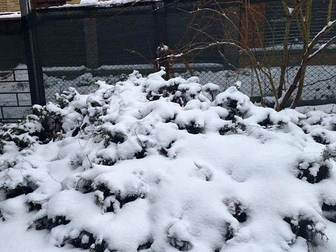 дом по адресу 3-тя канальна