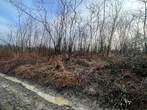 ділянка за адресою 