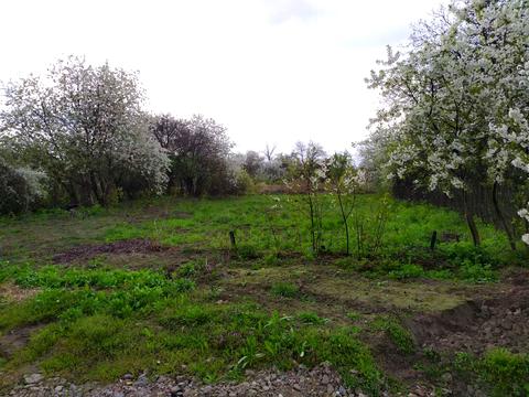 ділянка за адресою 