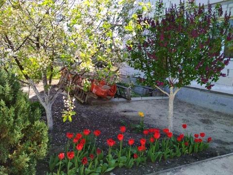 дом по адресу чайки