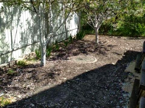 дом по адресу чайки