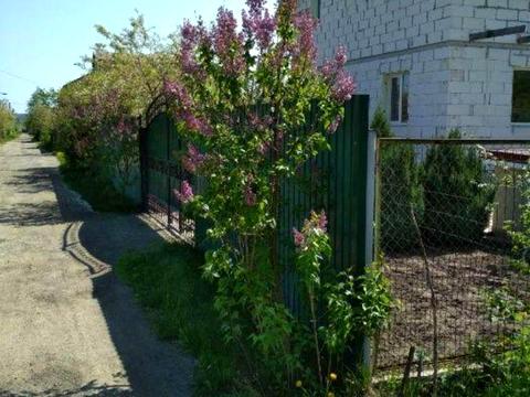 дом по адресу чайки