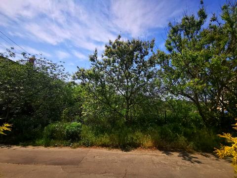 ділянка за адресою 