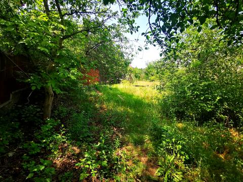 ділянка за адресою 