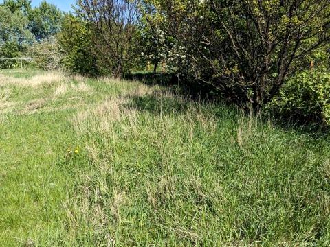 ділянка за адресою Київ, 