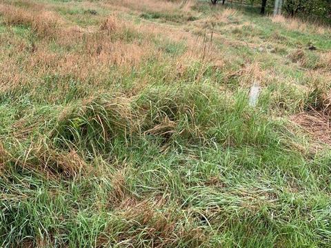 ділянка за адресою Київ, 