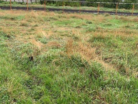 ділянка за адресою Київ, 