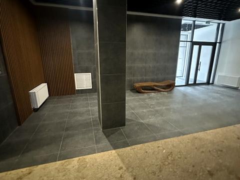 квартира за адресою Олександра Олеся вул., (Будинок 10.3)