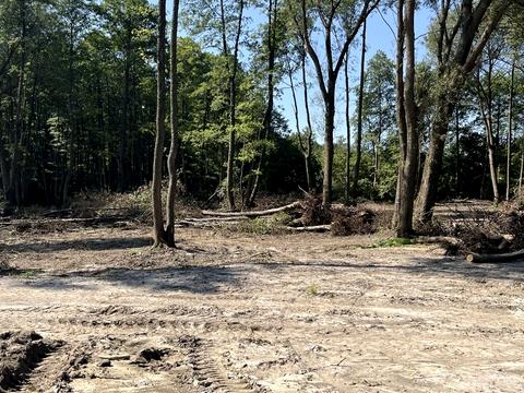 ділянка за адресою 