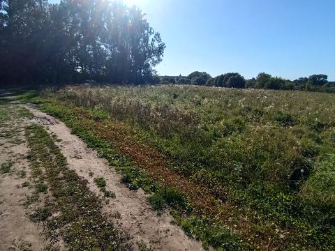 участок по адресу 