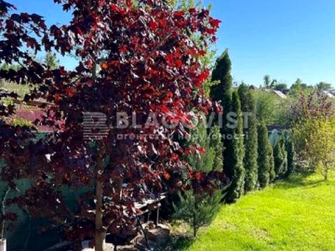 будинок за адресою с. Старі Петрівці, лісна