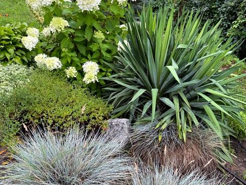 будинок за адресою дачна