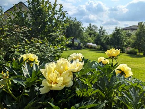 будинок за адресою Весняна