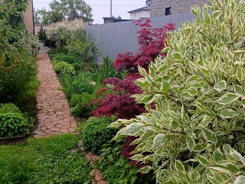 будинок за адресою Весняна