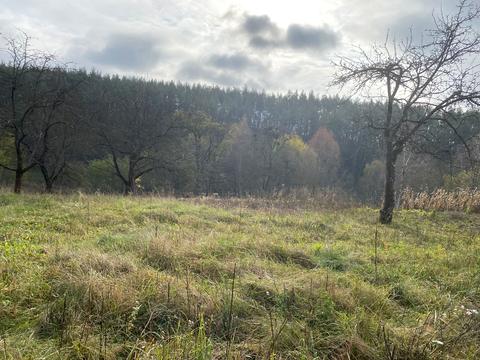 дом по адресу Вишнева