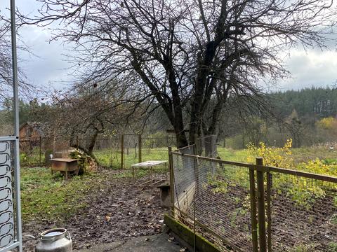 дом по адресу Вишнева