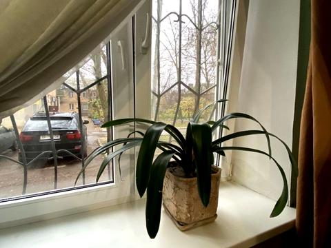 квартира за адресою Різдвяна вул., 3