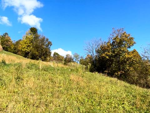 участок по адресу 