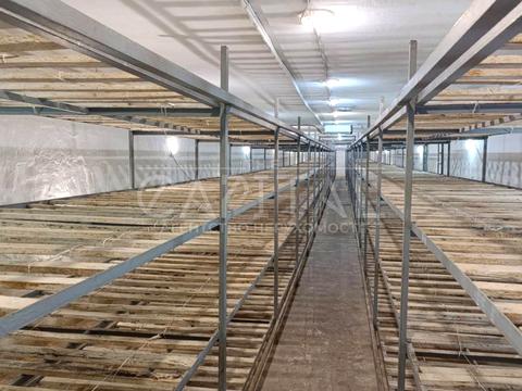 коммерческая по адресу Мира, 10