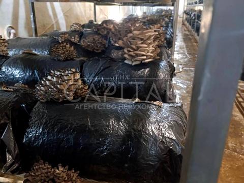 коммерческая по адресу Мира, 10