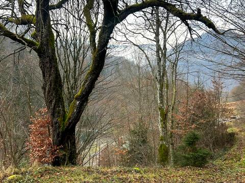 участок по адресу 