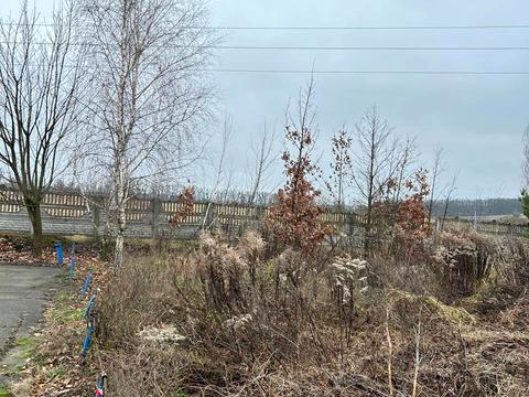 ділянка за адресою с. Гореничі, 