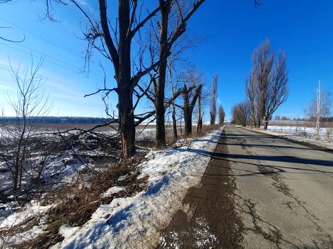 ділянка за адресою с. Гореничі, 