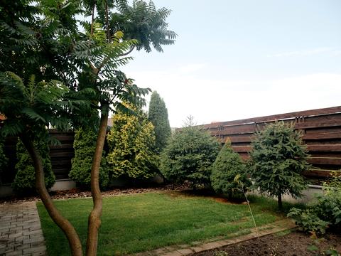 дом по адресу Патриарха Владимира ул.