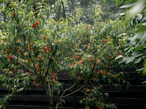 дом по адресу Патриарха Владимира ул.