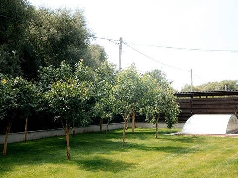 дом по адресу Патриарха Владимира ул.