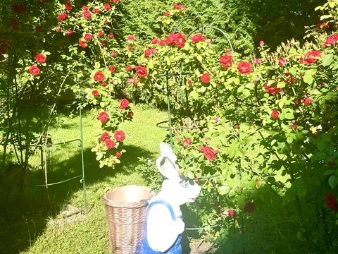 будинок за адресою Генерала Дмитра Грицая вул. (), 6