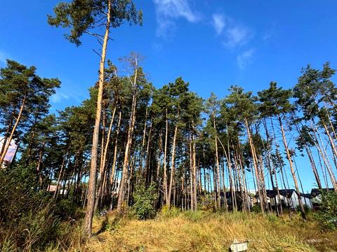 участок по адресу 