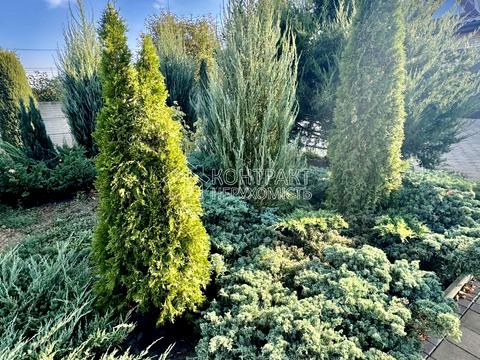 будинок за адресою смт. Бабаї, Космічна вул.