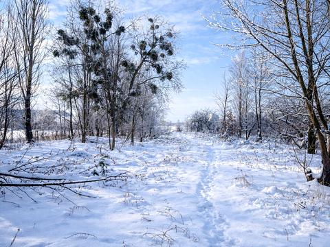 ділянка за адресою Богатирська вул.